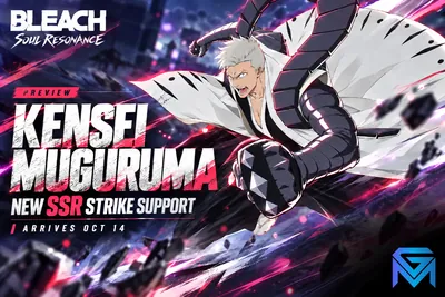 BLEACH: Soul Resonance Bleach Soul Resonance Kensei Muguruma: October 14  news image