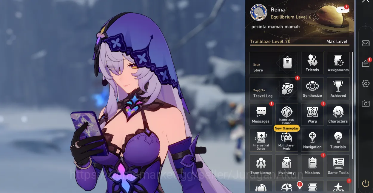 Honkai Star Rail Accounts End Game ASIA [TL70] 14 Limited (Castorice+Sign 2