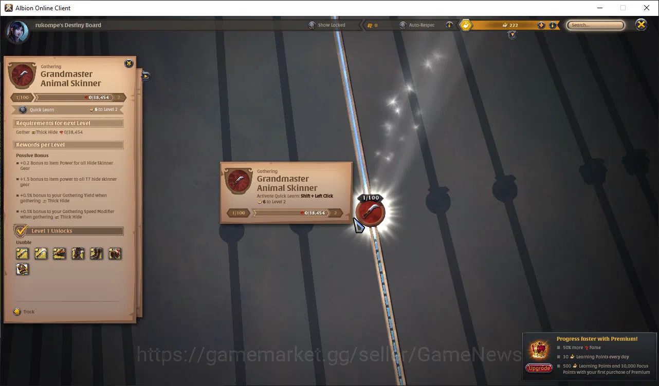 Albion Online Accounts ASIA|2,2M Total Fame - 8,33M Silver|T7 Skinning Kn image 5