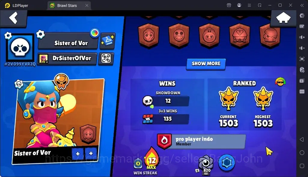 Brawl Stars Accounts Global |Trophy 1915 | Brawler 29| Skins 2 Mythic,7Epic| Bling 9184|Protect Off|Check SS BRS302B 3