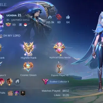 Mobile Legends: Bang Bang Accounts Collector Global|Skin 424|Exalted|Legend Gusion,KOF Karina+Guinevere,Aspirant