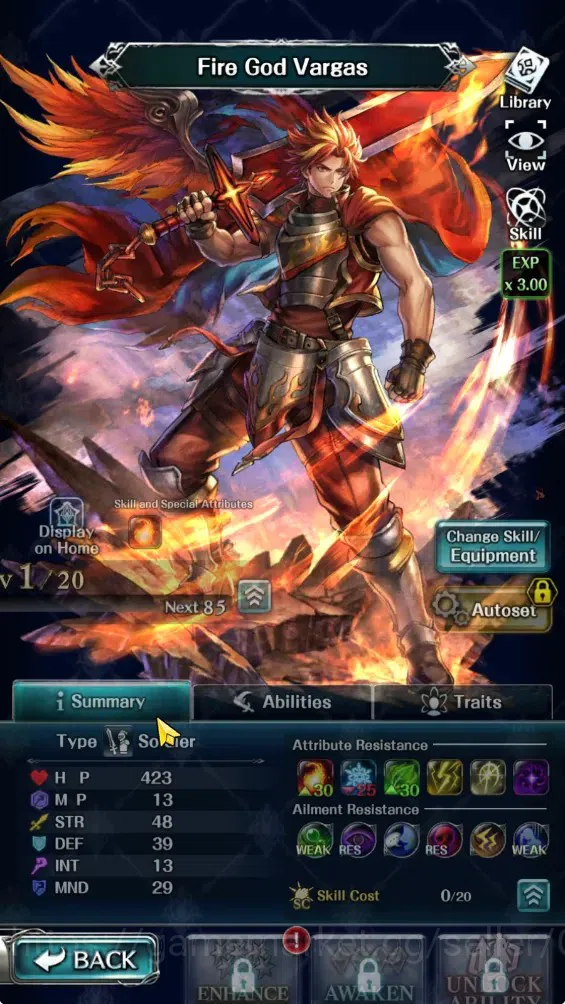 Last Cloudia Accounts GLOBAL|Rank 7|3k Crystal|Collab Brave Frontier (Fi image 3