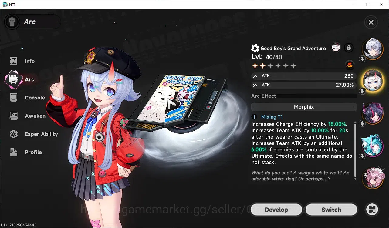 Neverness to Everness Accounts GLOBAL SEA|HL 25|3 S-Class| (Shinku, Sakiri)+Signature, Chiz |3 Selector On|Tomato Cruise-Car 5