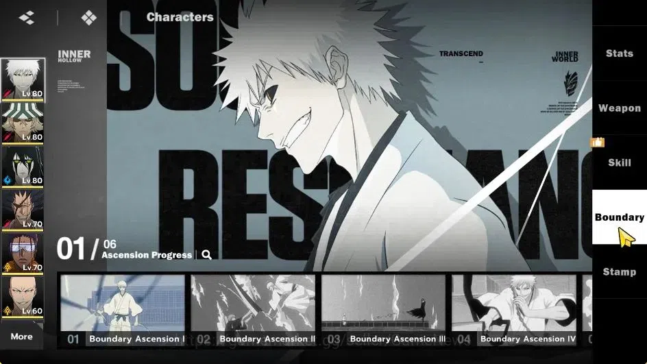 BLEACH: Soul Resonance Accounts NUVERSE SEA|Lvl 62|8 SSR|5 9