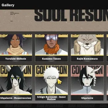 BLEACH: Soul Resonance Accounts NUVERSE SEA|Lvl 62|8 SSR|5