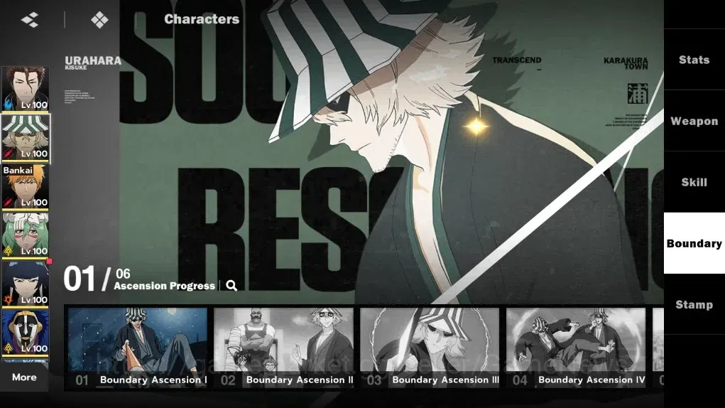 BLEACH: Soul Resonance Accounts NUVERSE 10