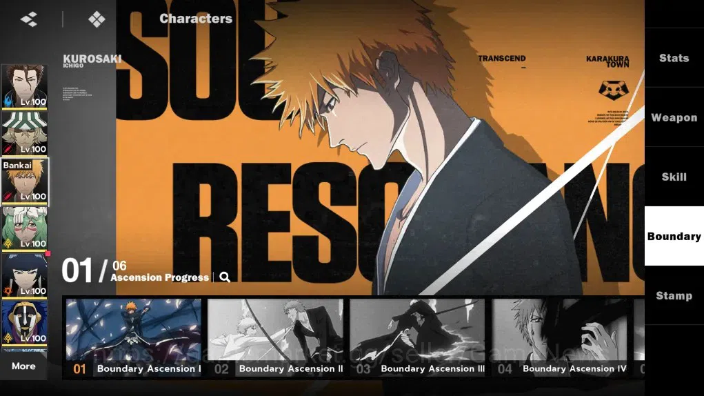 BLEACH: Soul Resonance Accounts NUVERSE 14