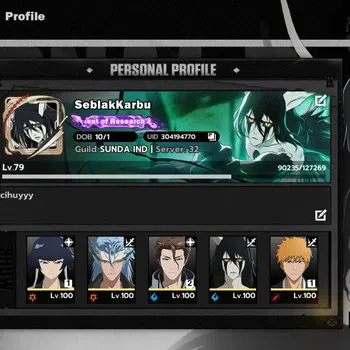 BLEACH: Soul Resonance Accounts NUVERSE