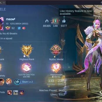 Mobile Legends: Bang Bang Accounts Collector Global |Hero 133|Skin 238|Renowned|Prime YZ|CC Natalia|Convenant