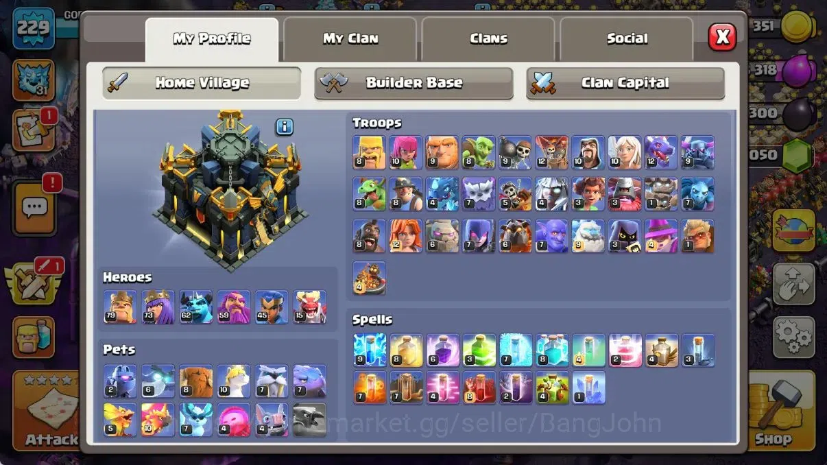 Clash of Clans Accounts Global | TH 17-BH 10|8 Skins|LVL 229|HH 11|BK 79,A image 17