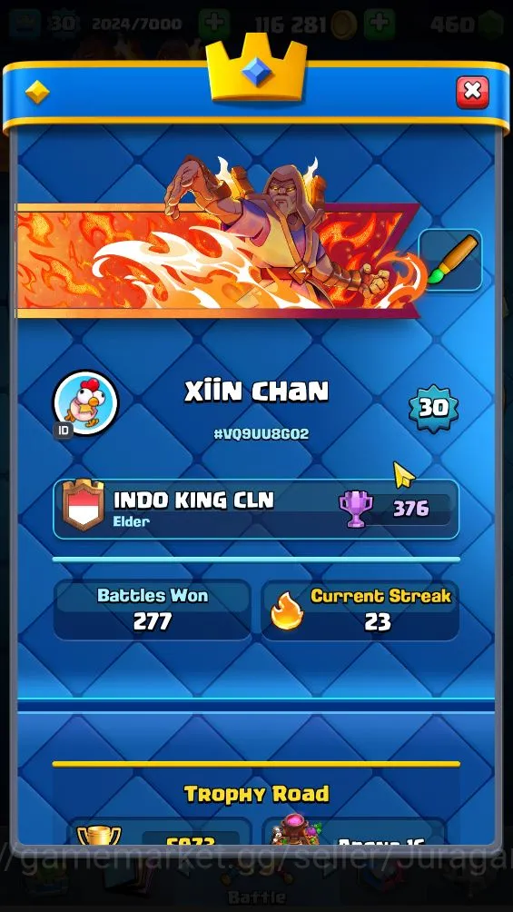 Clash Royale Accounts Lvl 30|Trophy 5973|KTL 11|Limited Skin|Card 103| 1 image 2