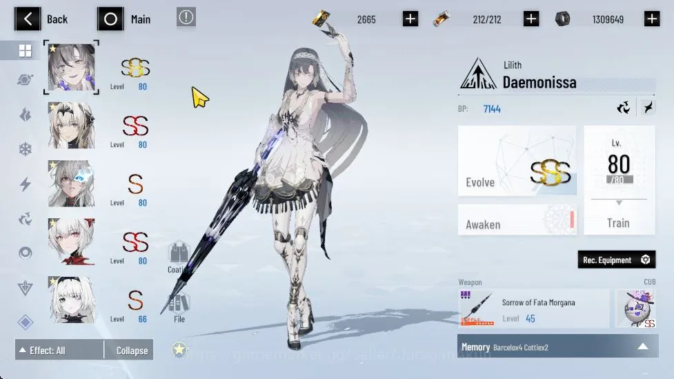 Punishing: Gray Raven Accounts End-Game ASIA |SSS Lilith+Sign+CUB,SS Stigmata+Sign,SS LuciaSW+Sign,SS Obliv 6