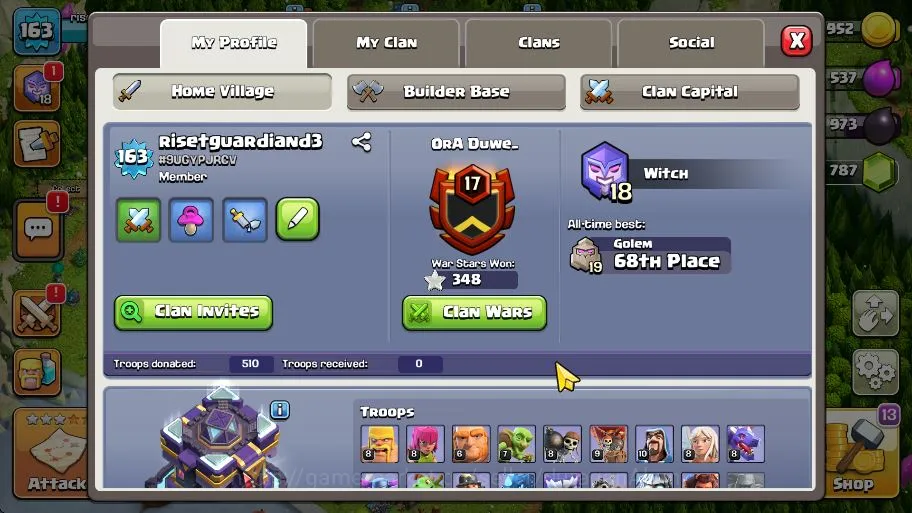 Clash of Clans Accounts Mid-Tier TH 15 - BH 9|Limited Skin|LV 163|HH 9|BK 42,AQ 59,GW 30,MP 29,RC 24|Gems 1787|CN 2