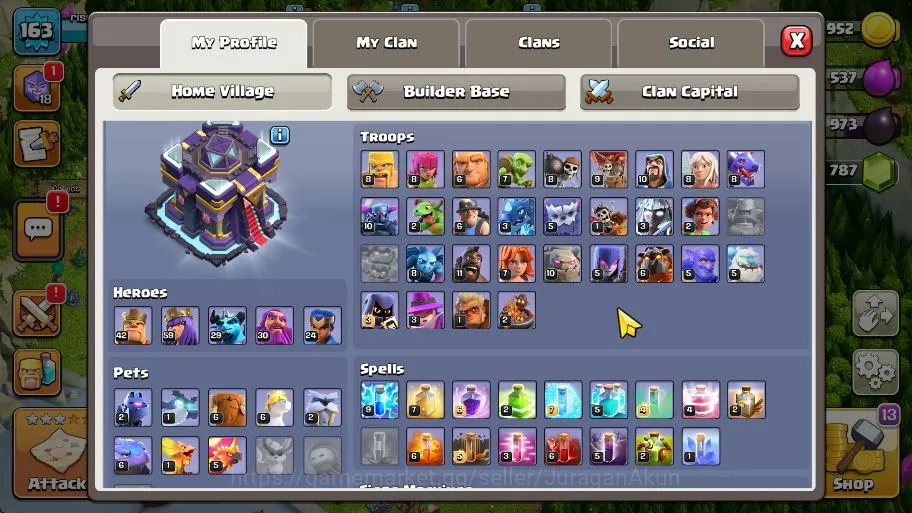 Clash of Clans Accounts Mid-Tier TH 15 - BH 9|Limited Skin|LV 163|HH 9|BK 42,AQ 59,GW 30,MP 29,RC 24|Gems 1787|CN 3