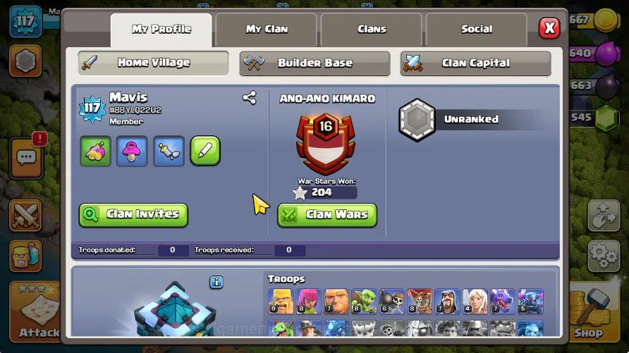 Clash of Clans Accounts TH 13 - BH 6|LV 117|Limited Skin|HH 5|BK 43,AQ 41, image 2