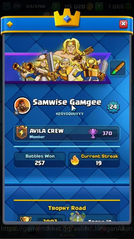Clash Royale Accounts Midgame Lvl 24|Trophy 3002|KTL 9|Limited Skin|Card 63|2 EVO,17 Epic,23 Rare,24 Common|TakeEmail(CR1030) 3