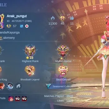 Mobile Legends: Bang Bang Accounts Others Global|Hero 100|Skin 105|Seasoned|KOF Karina,PACE Fanny,Collab Cyclops,SPECIAL