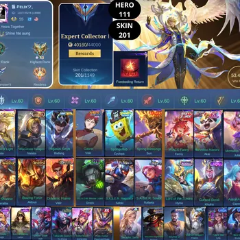 Mobile Legends: Bang Bang Accounts Smurf BEST OFFER | HERO 111 | SKIN 201 | CONCERTO OF LIGHT VALE | WARRIORESS PARAGON