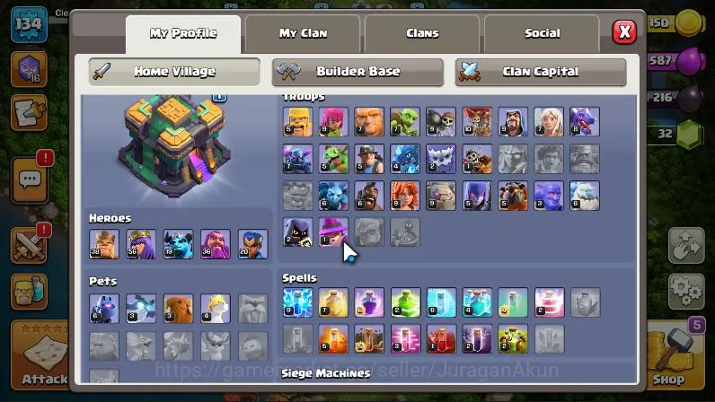 Clash of Clans Accounts TH 14 - BH 10|LV 134|Limited Hero Skin|HH 8|BK 38, image 2