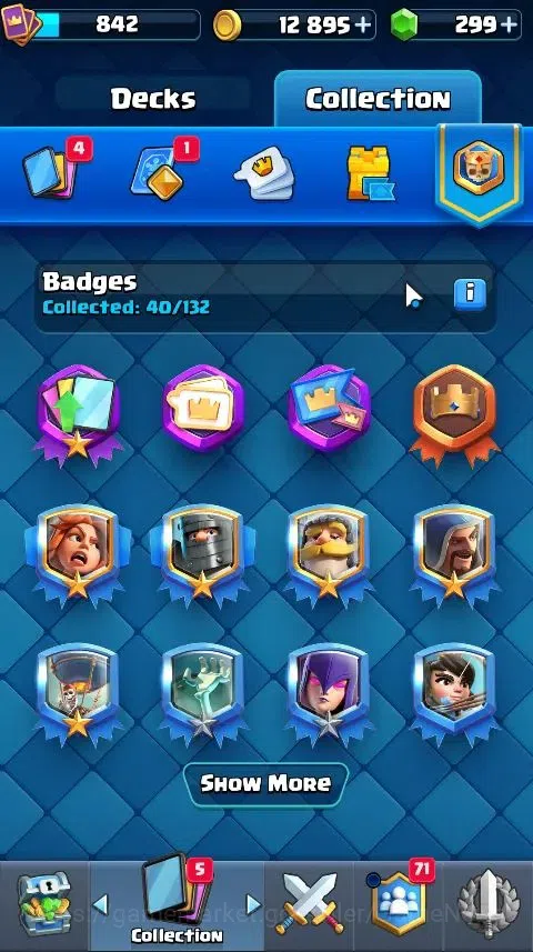 Clash Royale Accounts Lv 370|Trophy 7000|KTL 10|Card 95|1 Hero,6 EVO,2 C image 13