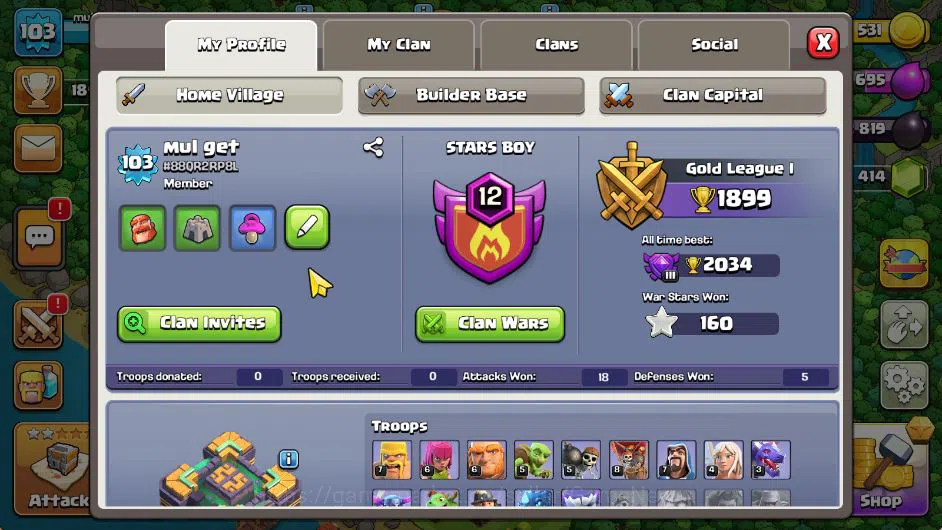 Clash of Clans Accounts TH 14-BH 6|LV 103|TROPHY 1899|HH 7|BK 40,AQ 20,GW  image 11