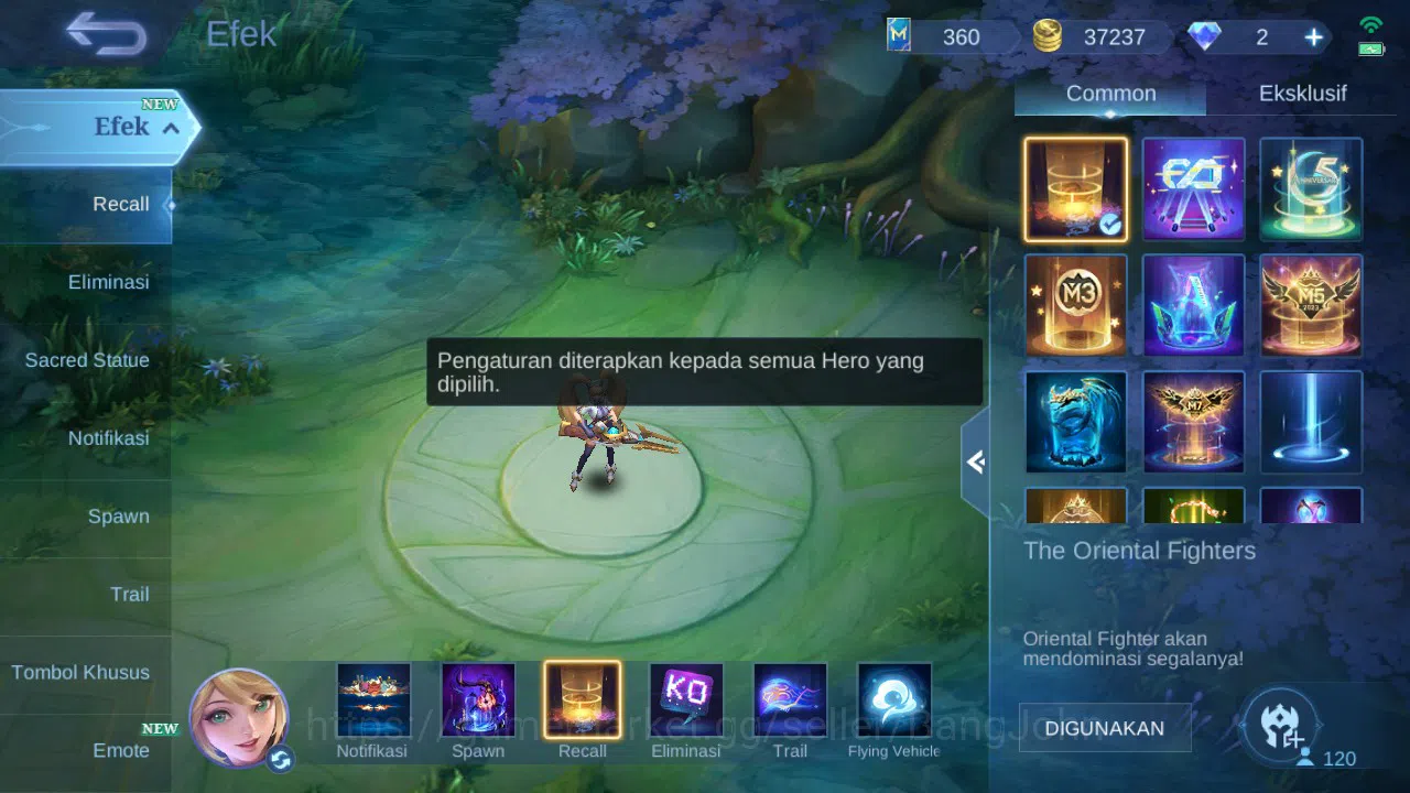 Mobile Legends: Bang Bang Accounts GLOBAL Hero 120 Skin 192 | Prime Granger | Zodiac  image 14