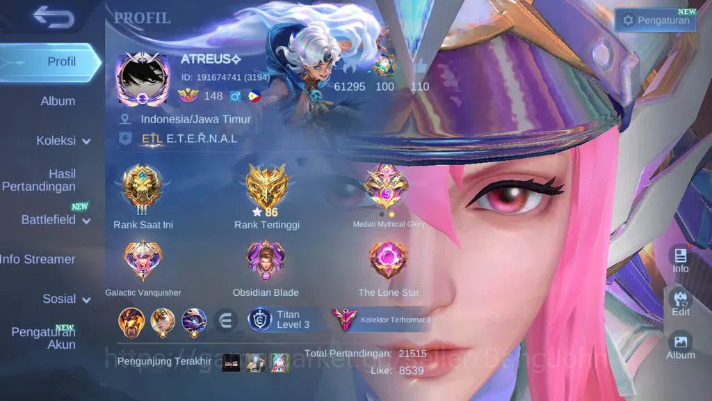 Mobile Legends: Bang Bang Accounts GLOBAL|Hero 132|skin 400|legend(freya,alu),KOF val image 1