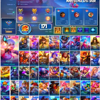 Mobile Legends: Bang Bang Accounts 🔥 #4146 🔥 💎 171 Skins 👑 Collector Natalia Warrioress Paragon ⚔️ Expert Collector III