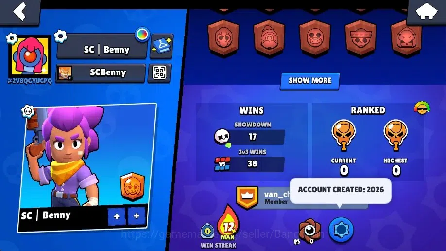 Brawl Stars Accounts Global | 1001 Thropy|15 Brawler|3 Max Lvl (Shelly, image 3