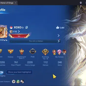 Honor of Kings Accounts Others Global|113H