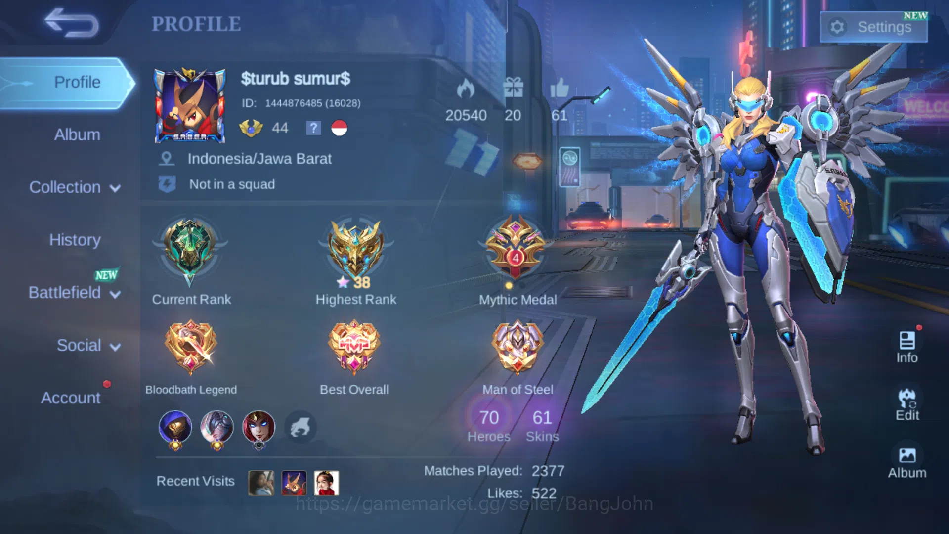 Hero 69 | Skin 61 | Collector Natalia | Saber Saber | Saber Freya | Valentine Claude | Blazing Aldous | Dragon Tamer Valir | Epic Harley ~ ML434B Mobile Legends: Bang Bang Others Hero 69 | Skin 61 | Collector Natalia | Saber Sabe image 1