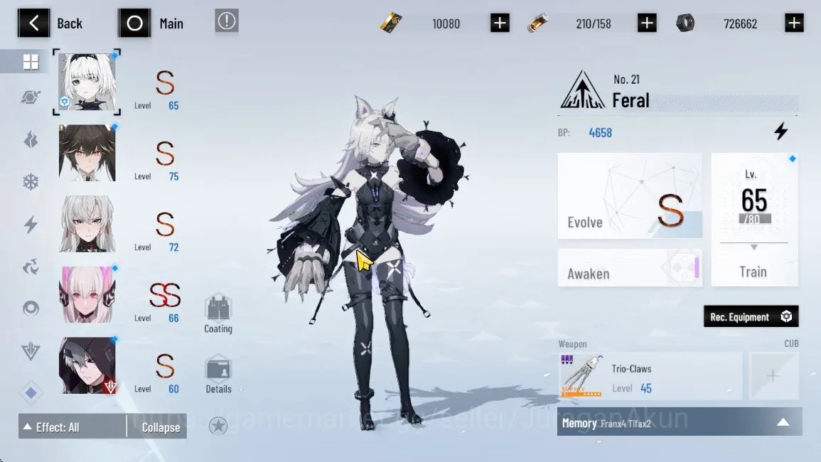 Punishing: Gray Raven Accounts ASIA | Lucia CW+Sign, Lucia Pyroath, Feral | 10K B image 3