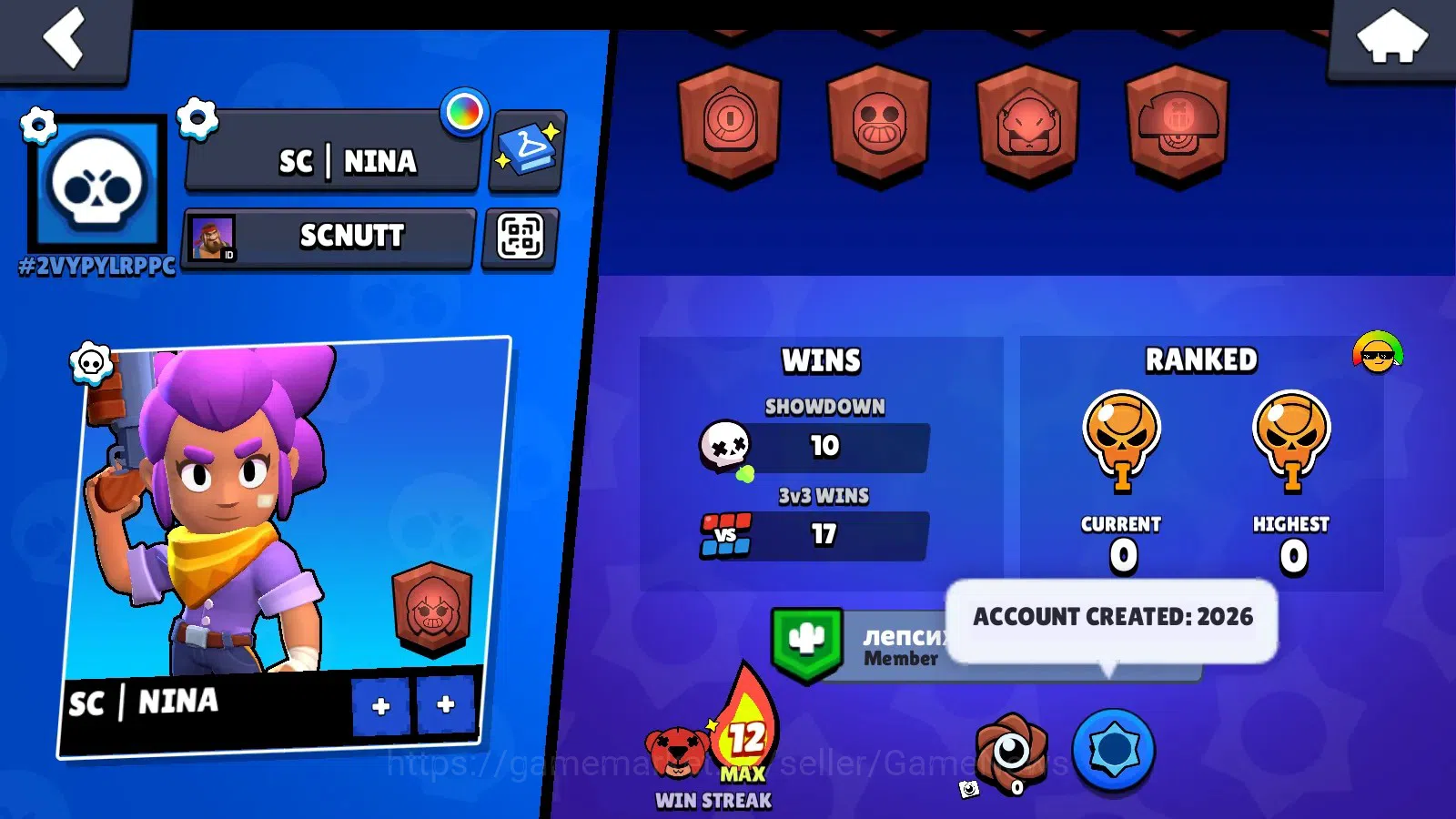 Brawl Stars Accounts 407 Trophy|Starter|9 Brawlers 1 Max Lv [Lumi]|5140 image 6