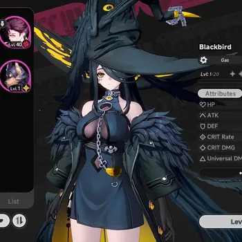 Neverness to Everness Accounts Global NA|HL 26|1 Limited (BlackBird +Signature) +Her Glider|2 S-Class Select|Vehicle