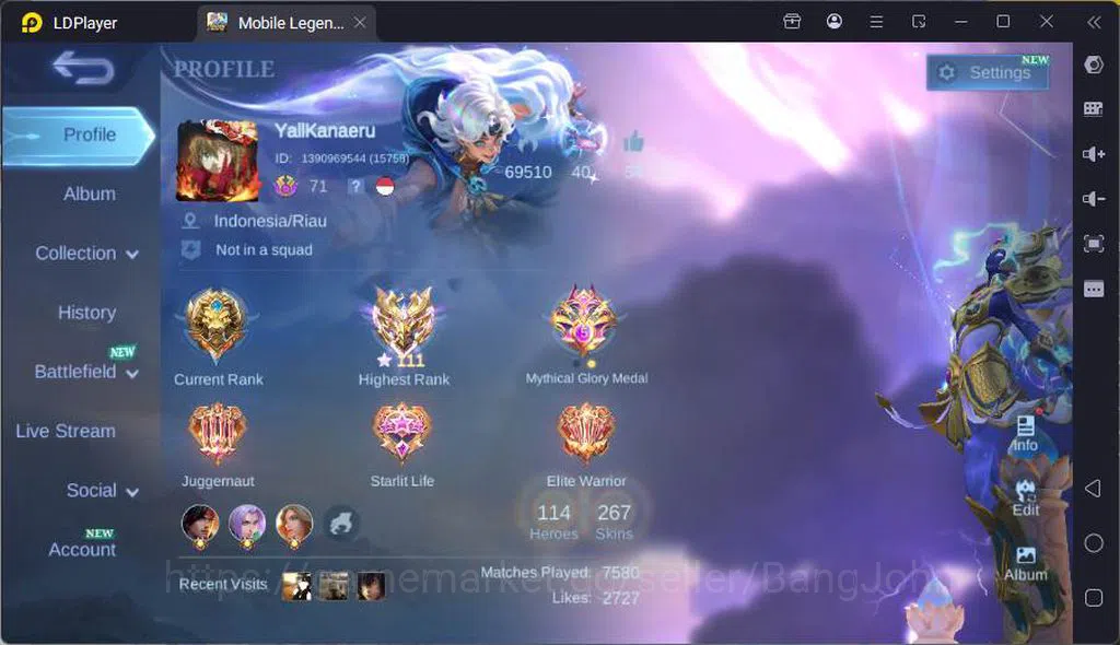 Mobile Legends: Bang Bang Accounts GLOBAL|Hero 114|Skin 267|Prime Granger,Kof Karina, image 1