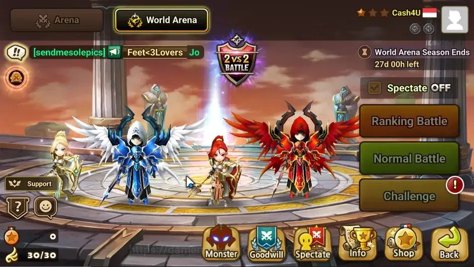 Summoners War: Sky Arena Accounts GLOBAL Lv 43|1 LD[Thebae]|15 Total NB5[Seara,Riley image 8