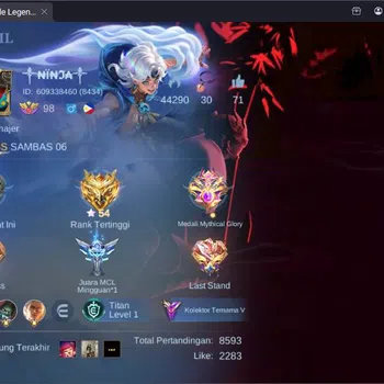 Mobile Legends: Bang Bang Collector Hero 132|Skin 216|Luckybox Haya,CC Natalia,LB Fann image 1