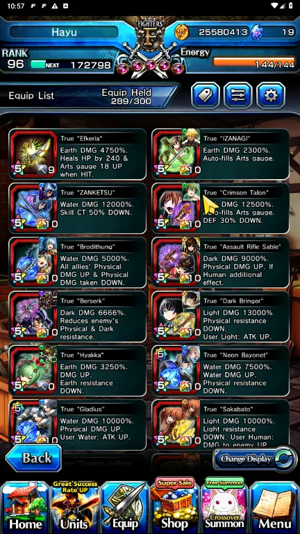 Grand Summoners Accounts GLOBAL | Ascend 19 | Roy TW, Shuna TW, Kenshin Him image 9