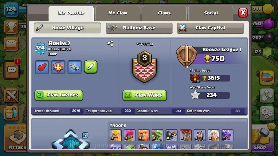 Clash of Clans Accounts TH 13-BH 9|LV 124|TROPHY 750|HH 7|BK 51,AQ 51,GW 3 image 2