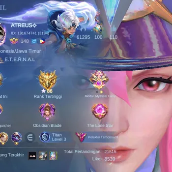 Mobile Legends: Bang Bang Accounts Others Global|Skin400|Renowned|Legend Alucard+Freya,StarWars Alucard,KOF