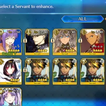 Fate-Grand Order Accounts NA Starter Fuyuki Lv 1 |2 SSR Servant|( Alter Ego Meltryllis, BB Summer )|Special Ascension