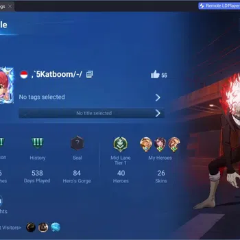Honor of Kings Accounts Rare Skin Global | 40H 26S |Precious Okurun|1 Legend|4 Epic|DanDan Daji|1 LIMITED|3 HonorPass|More