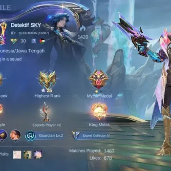 Mobile Legends: Bang Bang Accounts Others Global|Skin 114|Expert|KOF Karina,Blazing Franco,Lightborn Granger,S.A.B.E.R