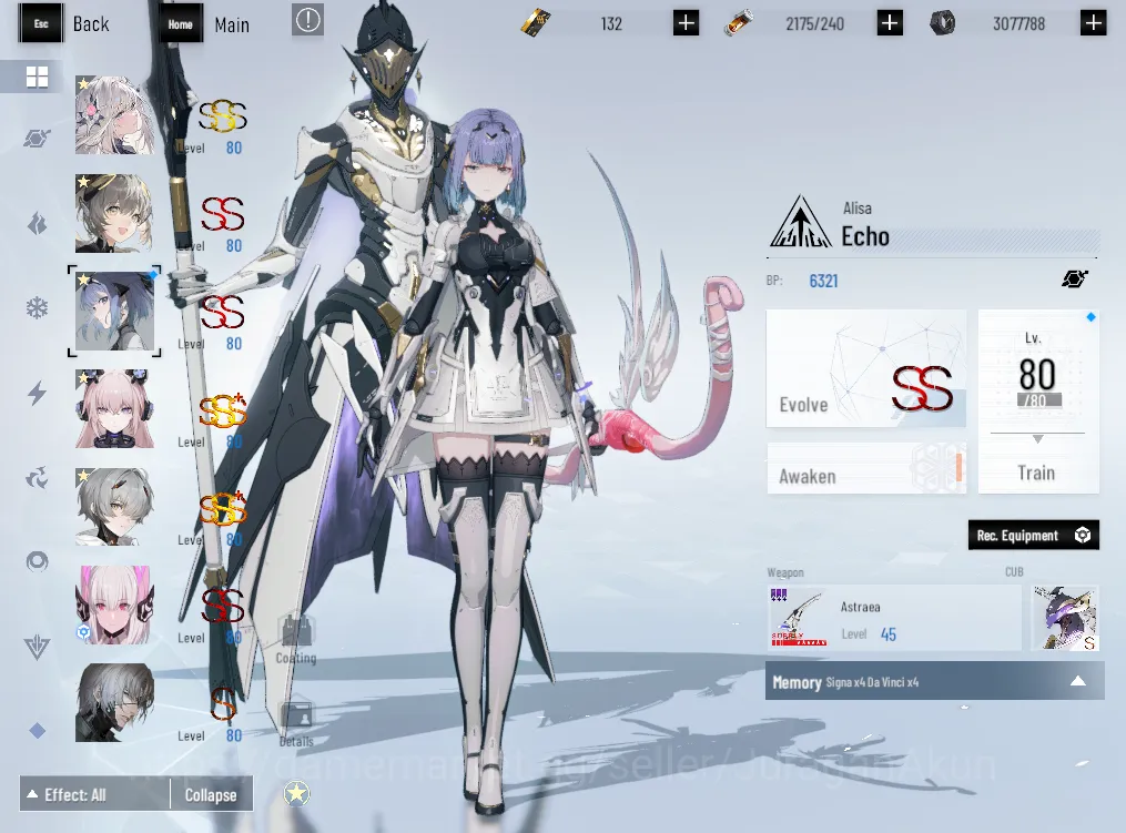 Punishing: Gray Raven Accounts Asia |1.5K BlueC + 1.5K GreenC|SSS BiancaStig+sign image 2