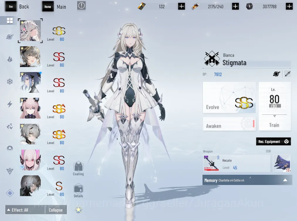 Punishing: Gray Raven Accounts Asia |1.5K BlueC + 1.5K GreenC|SSS BiancaStig+sign image 3
