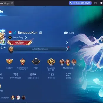 Honor of Kings Accounts Rare Skin Global|113H 207S|1 Flawless|1 Precious|3 LNY|1Limited|4Legend|1KIC|1Sanxingdui|TakeMail