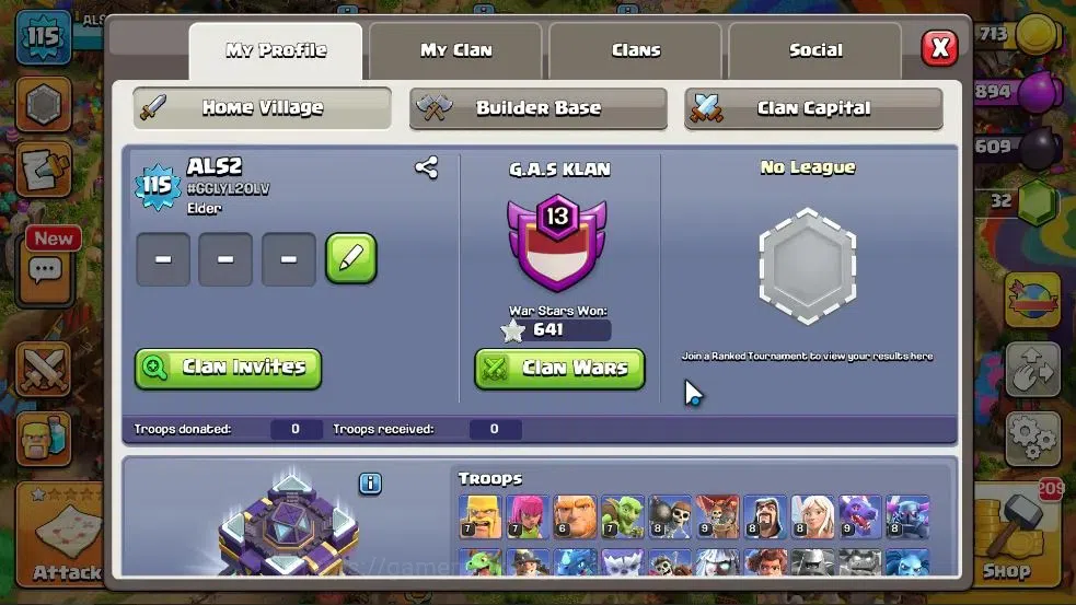 Clash of Clans Accounts High-End LV 115|TH 15-BH 7|HH 9|Limited Skin|BK 48,AQ 48,GW 25,MP 34,RC 24,DD 1|Painter Scenery|CN 5