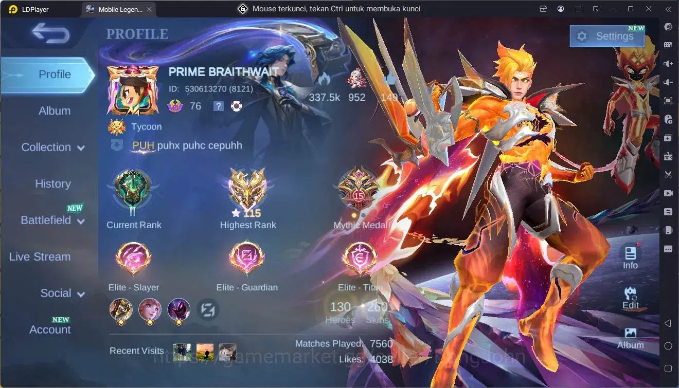 Mobile Legends: Bang Bang Accounts Global|Hero 130|Skin 260|Renowned|Prime Claude|San image 1
