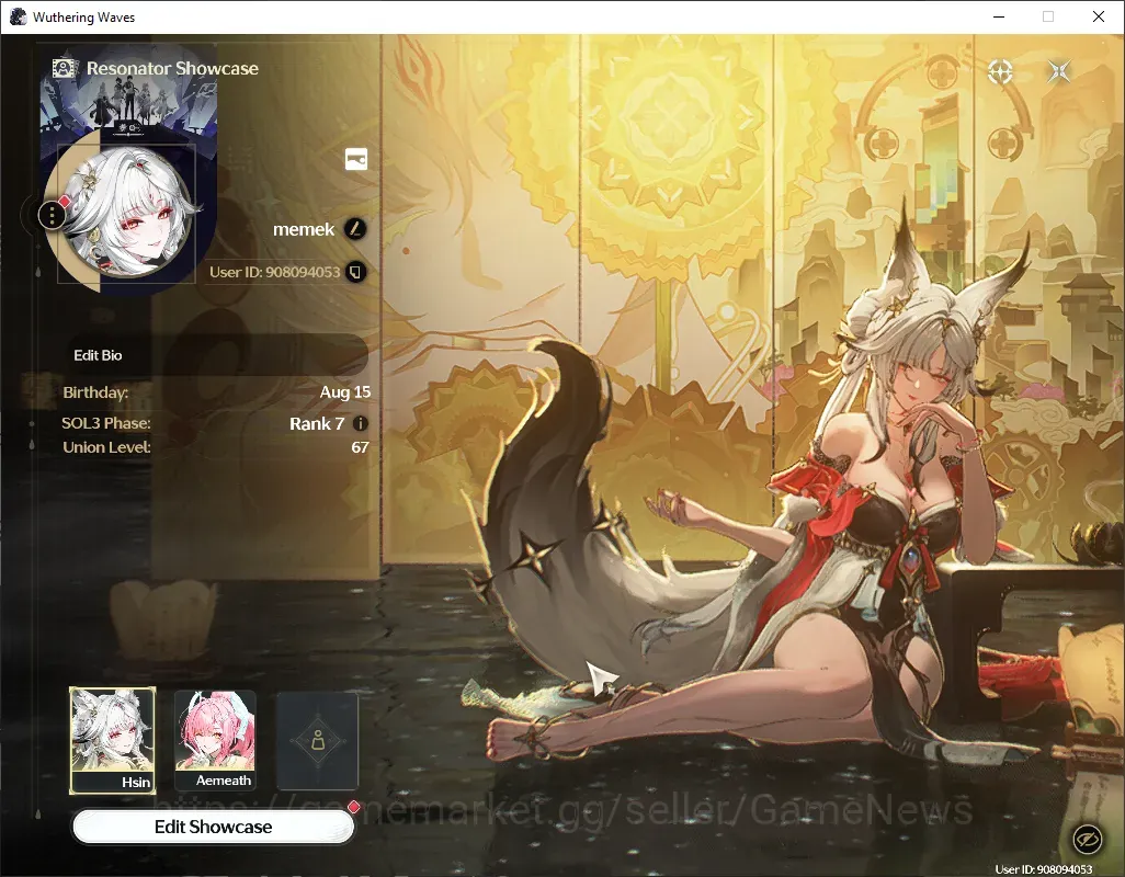 Wuthering Waves Accounts Starter SEA|UL 67|4 Limited ( Hsin,Aemeath,Denia)+Sign, Jiyan +1 STD Char|DB Lvl 29|Female MC 1