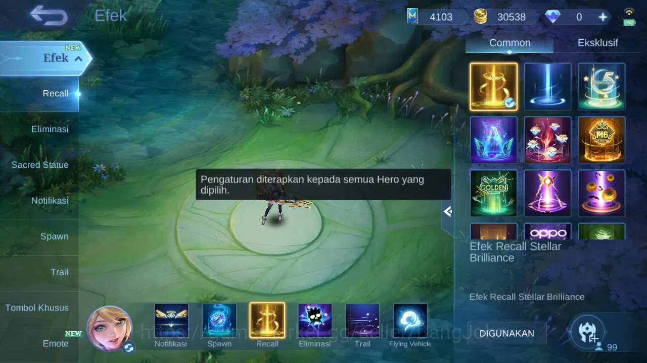 Mobile Legends: Bang Bang Accounts Hero 99 Skin 200 | Prime Claude | Annual Vale, Hay image 13